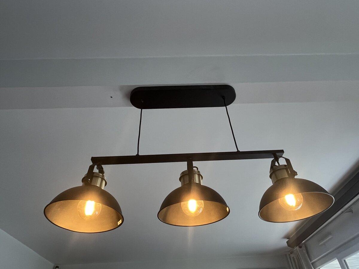 Pose suspension industrielle 3 spots à Paris 11 par un prestataire reçu en entretien Plamby